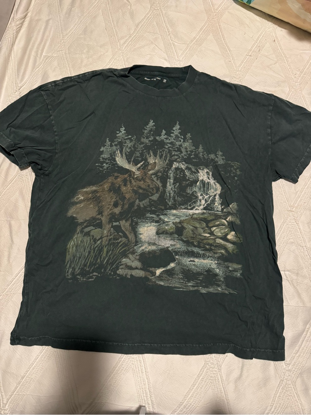 Abercrombie & Fitch Black Moose Nature Graphic Short Sleeve Tee